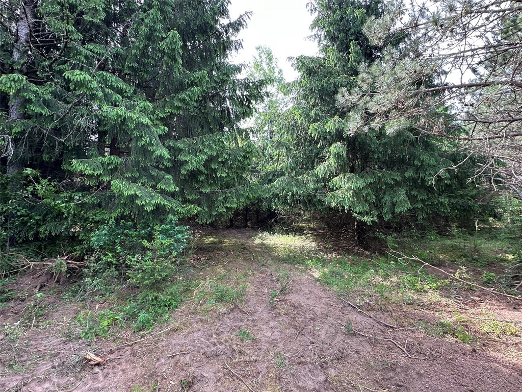 Picture 23