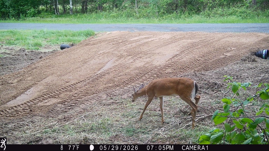 Picture 18