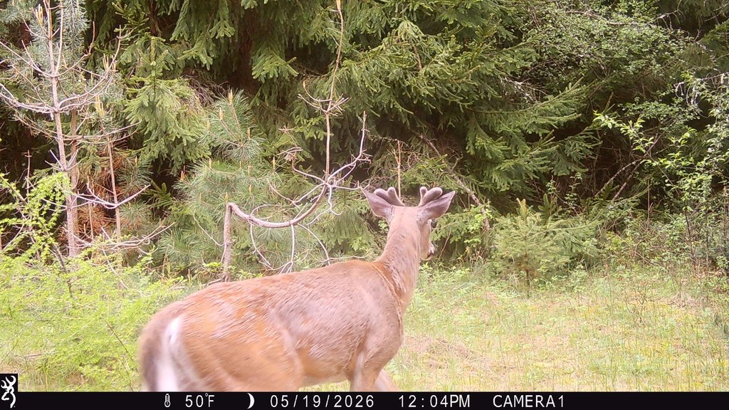 Picture 14