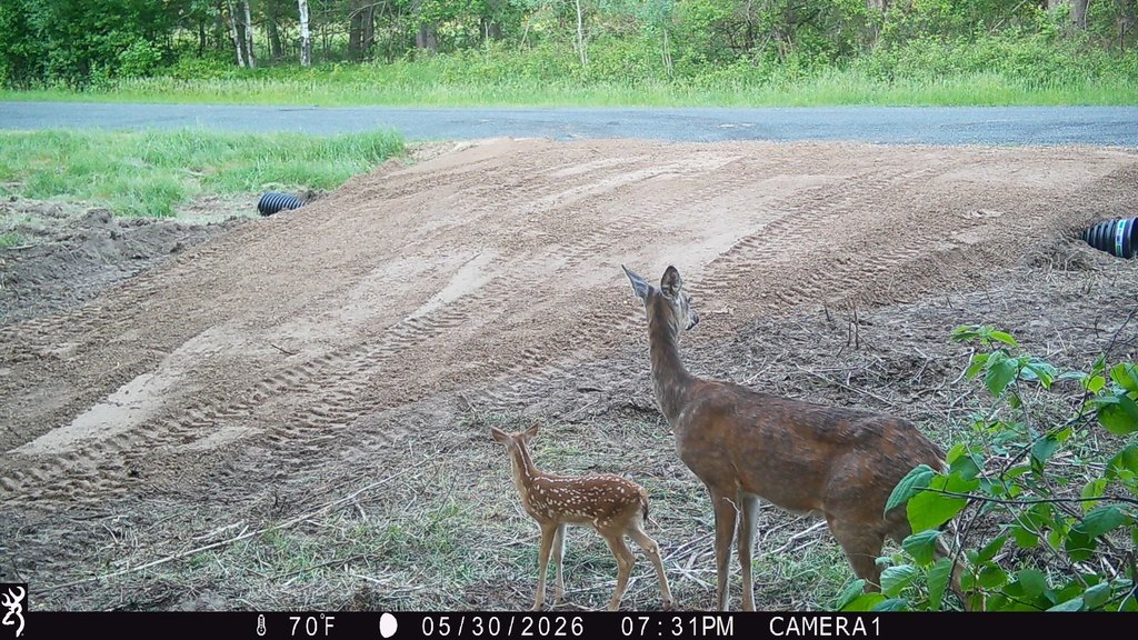 Picture 2