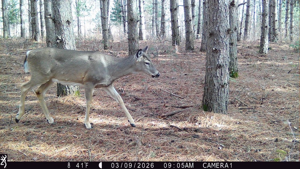 Picture 15
