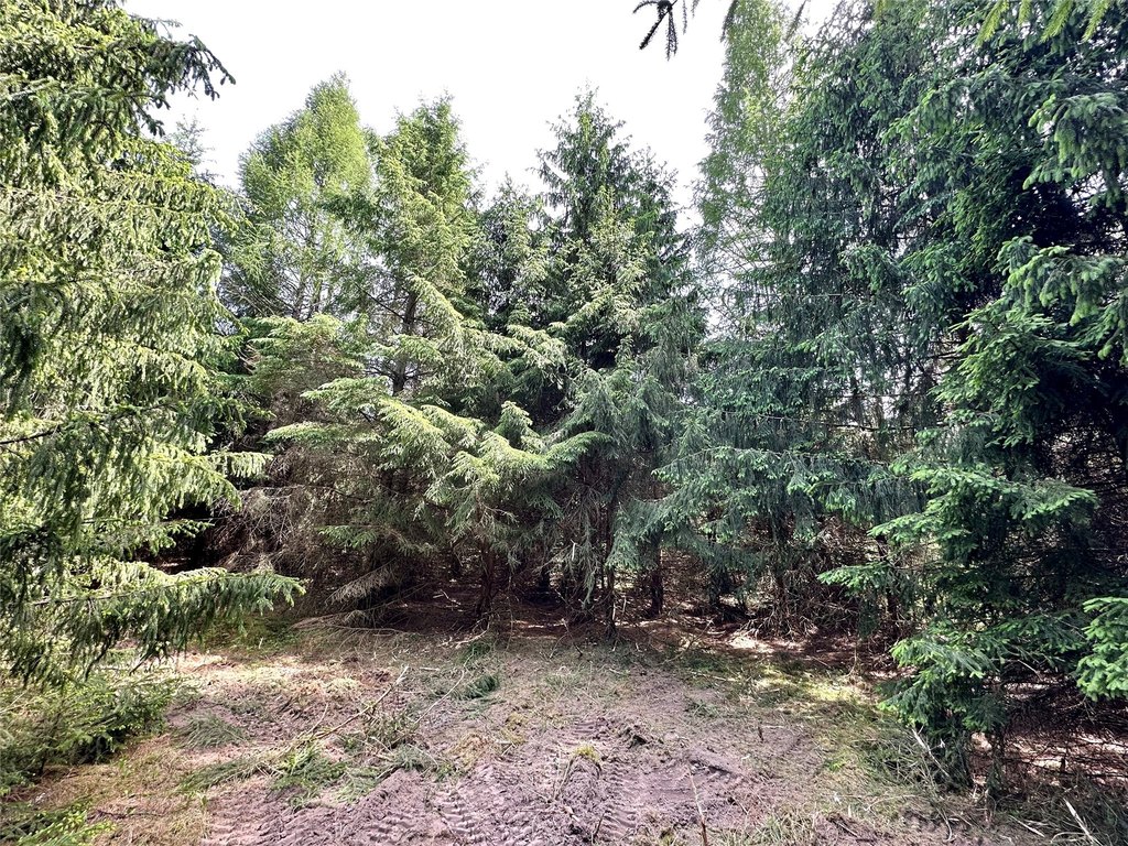 Picture 24