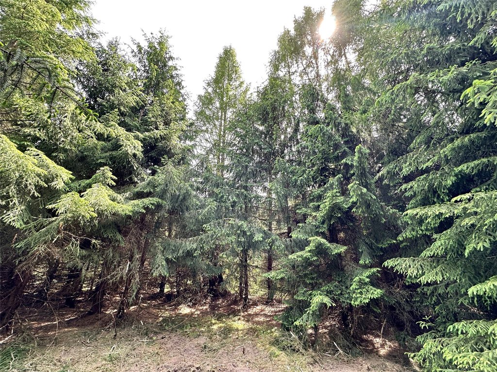Picture 27