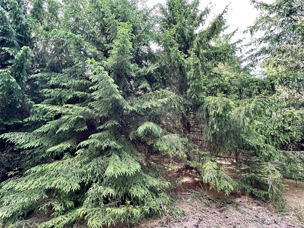 Picture 28