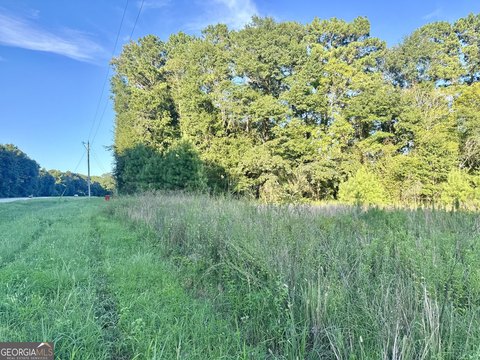 LAND - Blakely, GA