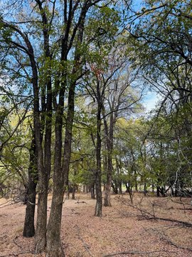 Land, Whitney, TX
