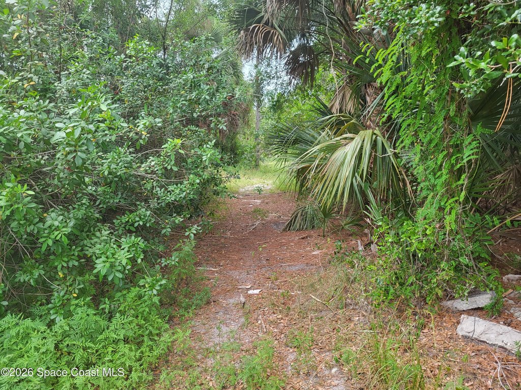 Picture 2