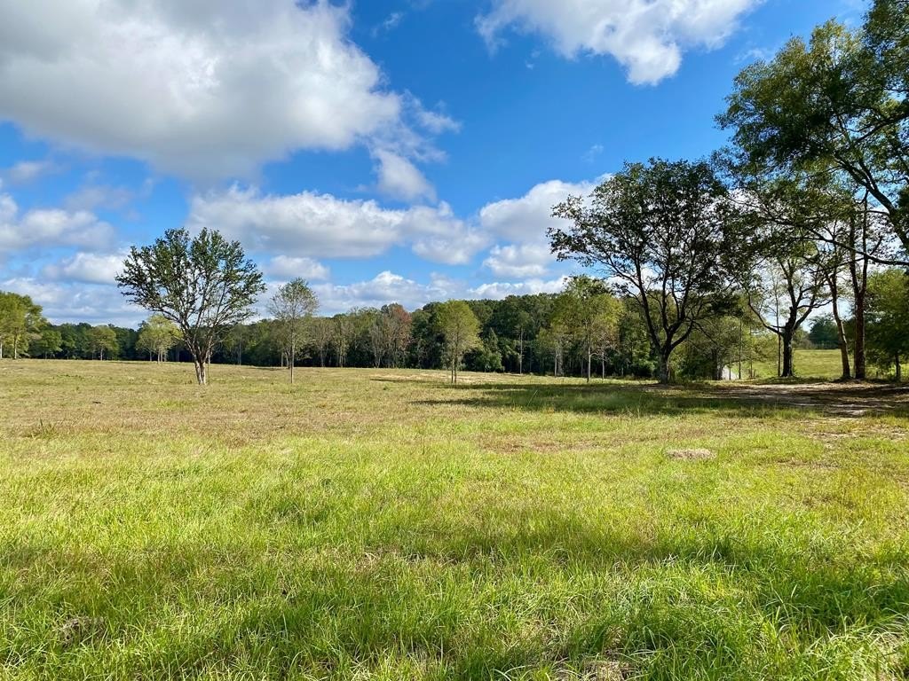Picayune Land Parcel For Sale