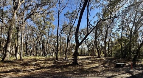 Land, Old Town, FL
