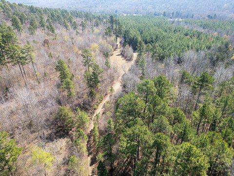 Secluded Hunting Land in Arkansas