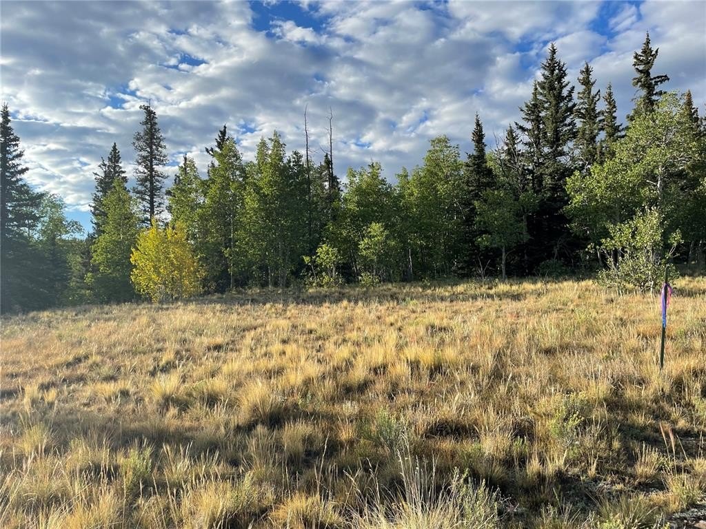 Picture 25