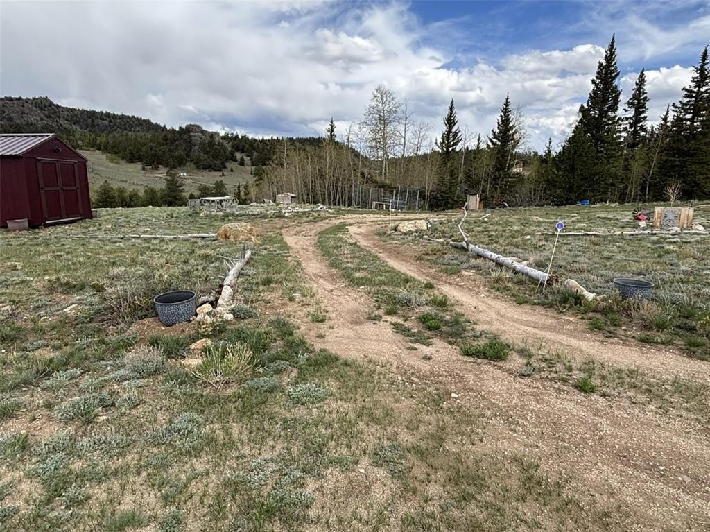 Picture 19