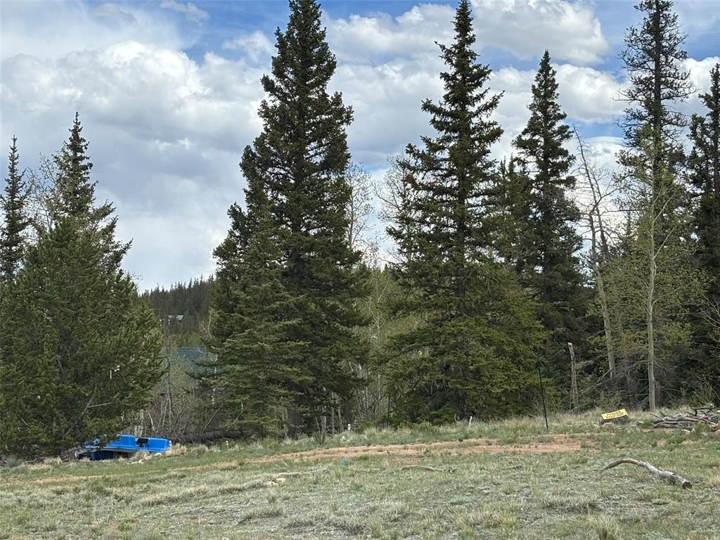 Picture 10