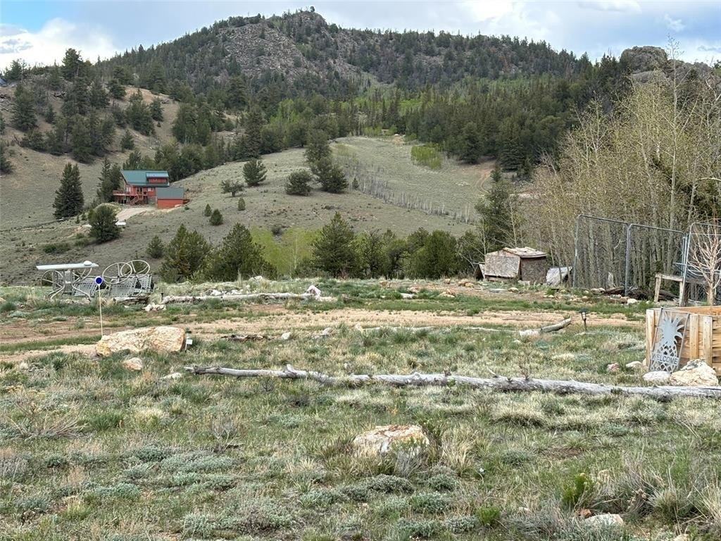 Picture 11