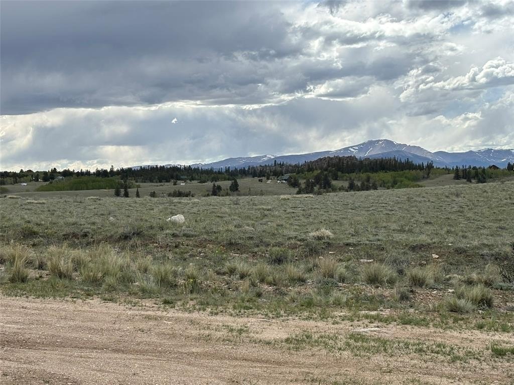 Picture 33