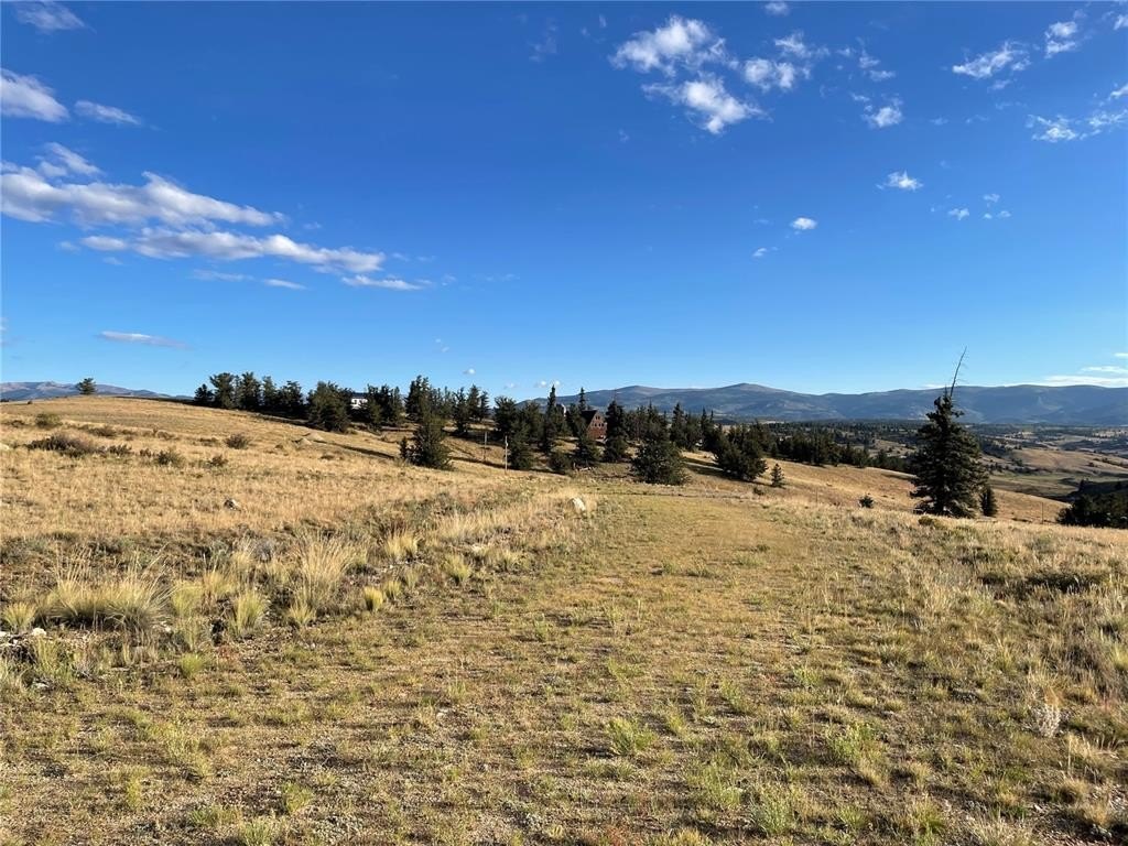 Picture 31
