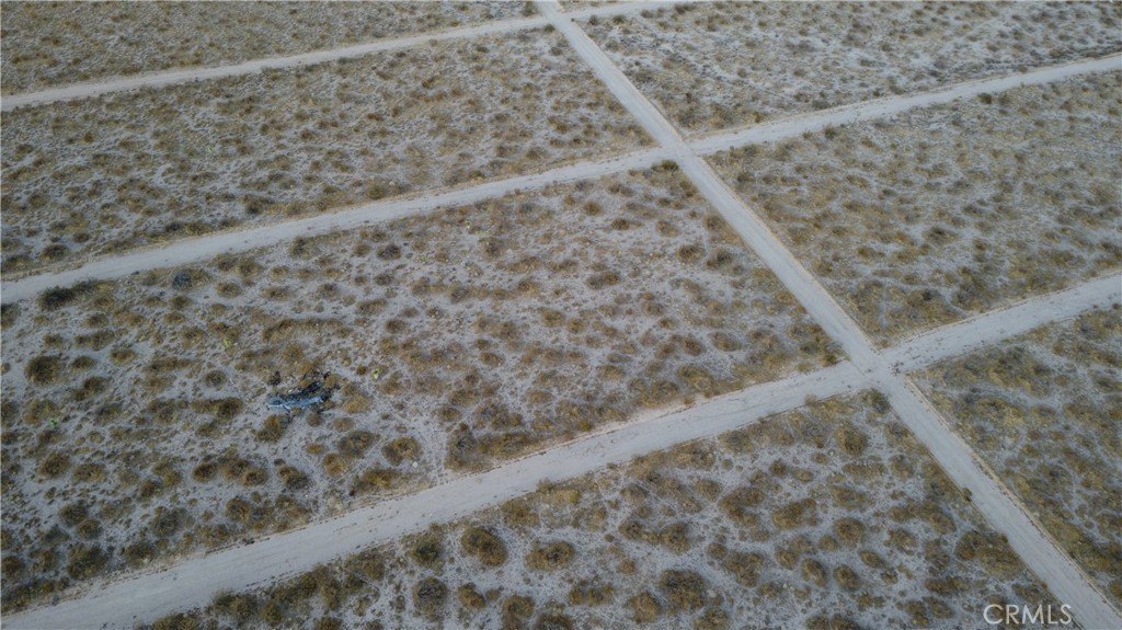 Picture 3