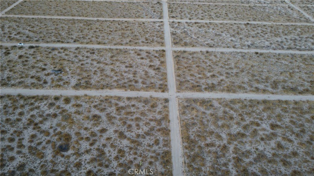 Picture 7
