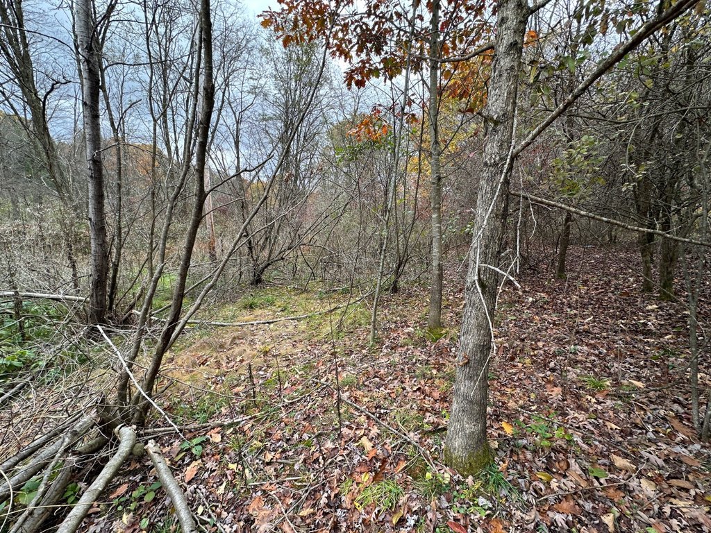Picture 15