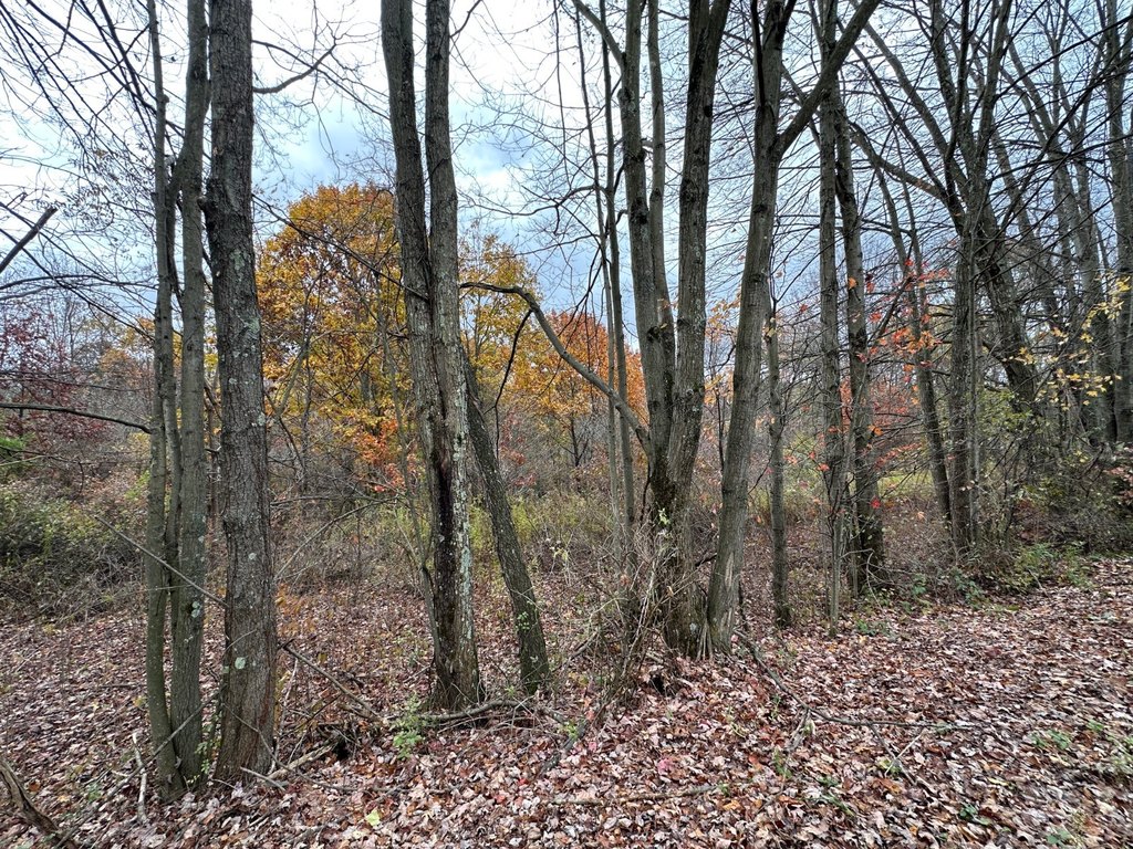 Picture 19