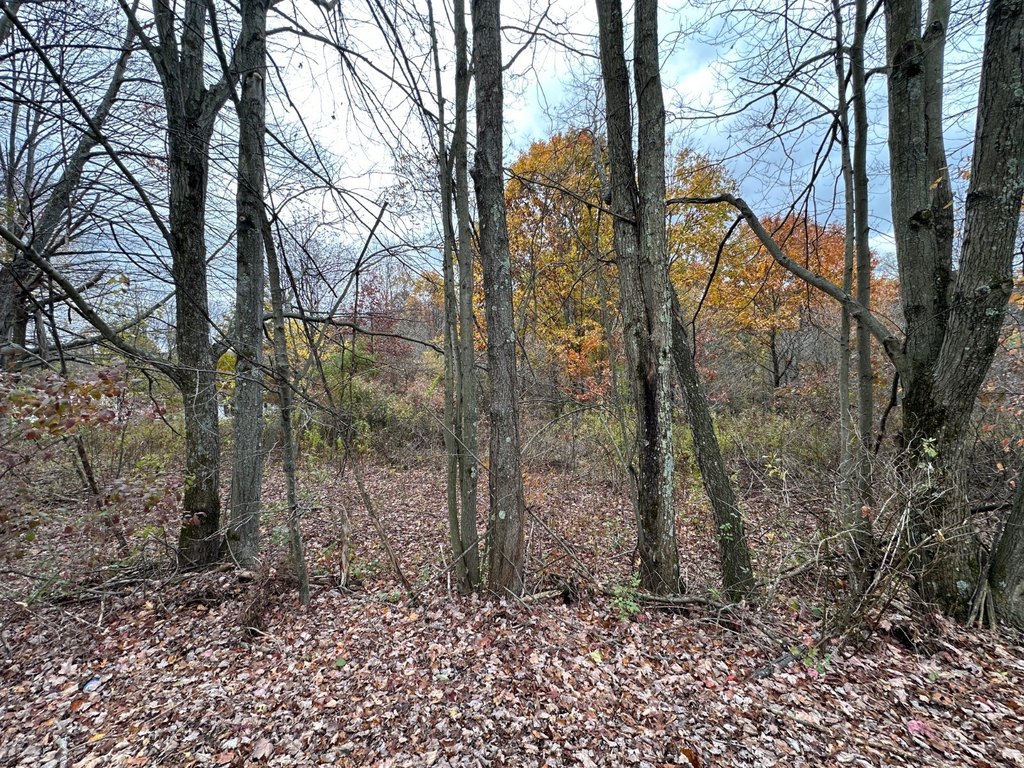 Picture 17