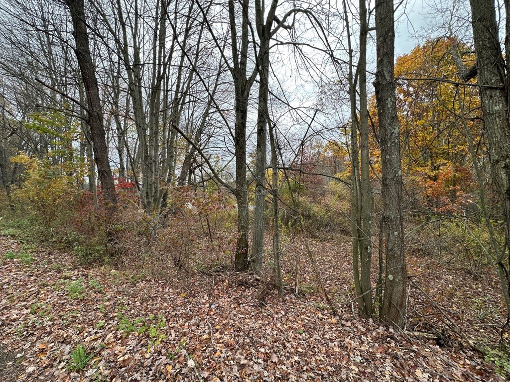 Picture 18