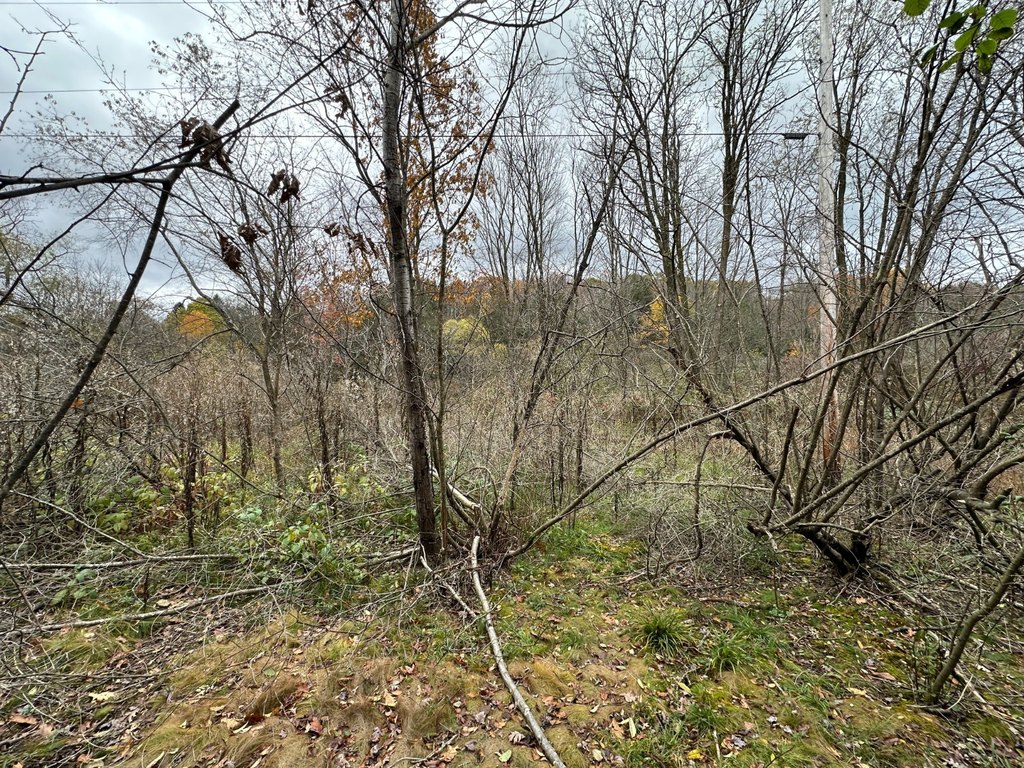 Picture 14