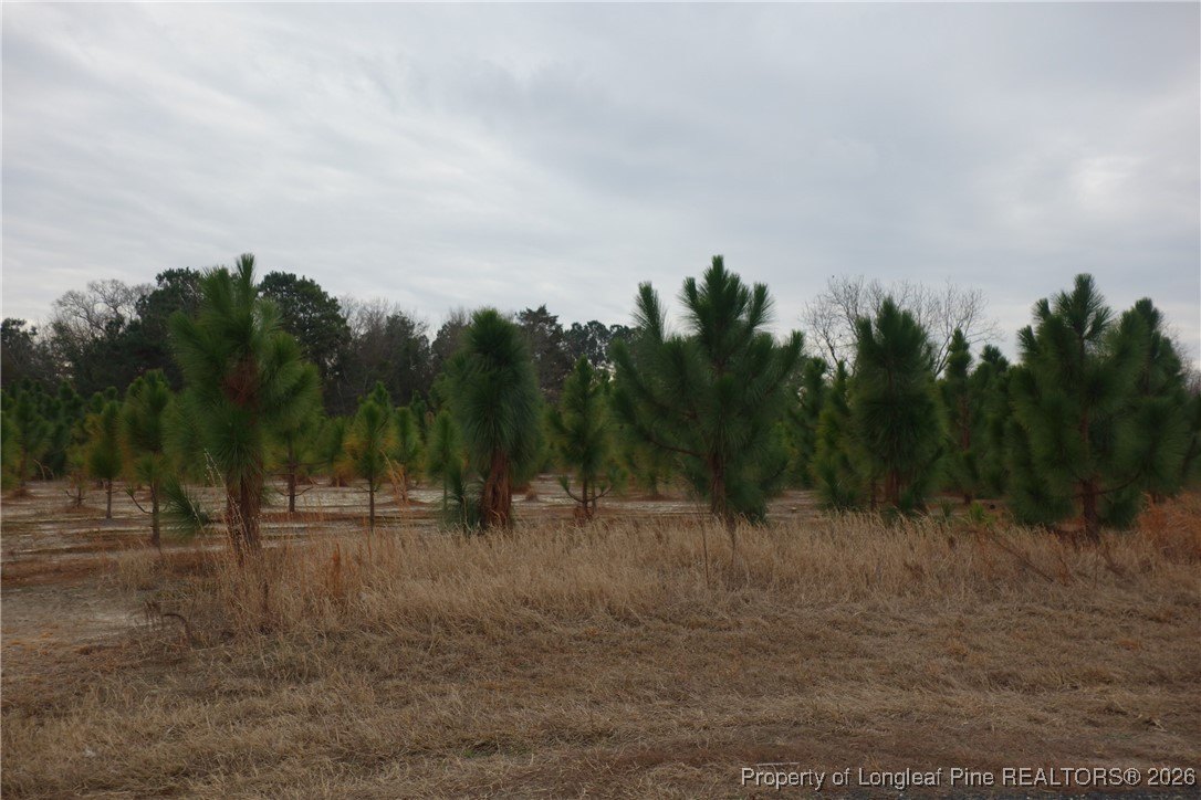 Residential Land in Fairmont, NC