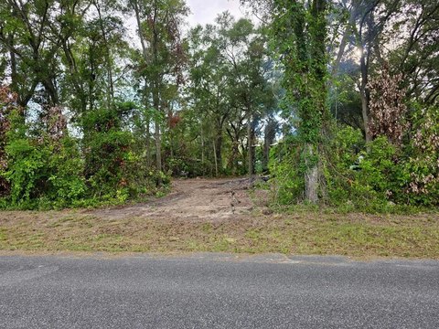 LAND - Trenton, FL