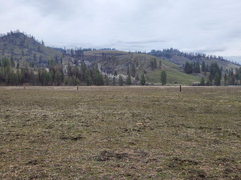 Kettle Falls Acreage with Creek
