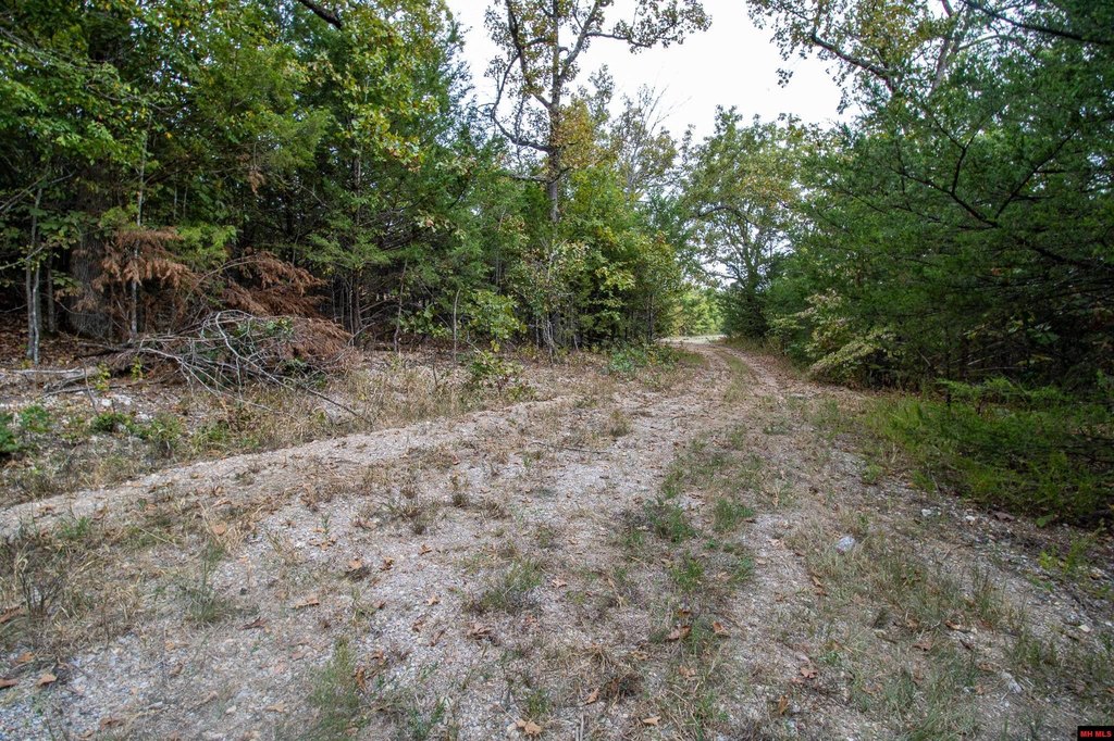 Picture 8