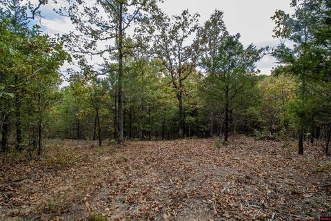 LAND, Mountain Home, AR