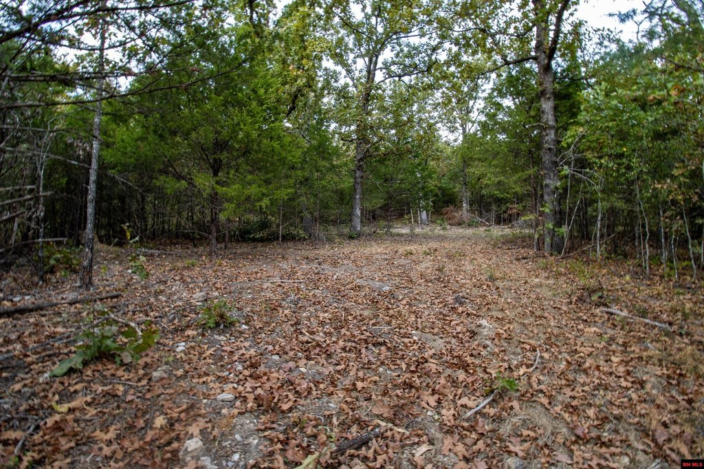 Picture 5