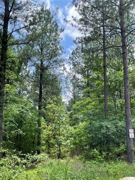 LAND - Broken Bow, OK