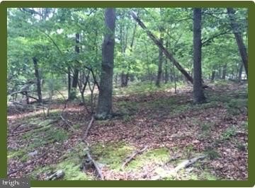 15 Acres on Route 220