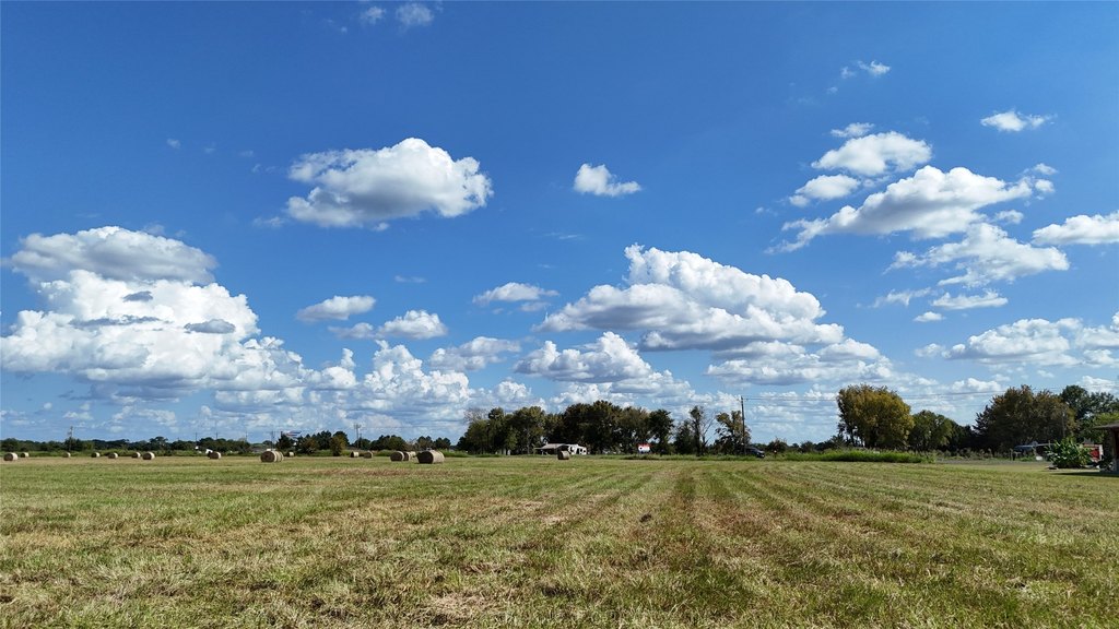 Picture 35