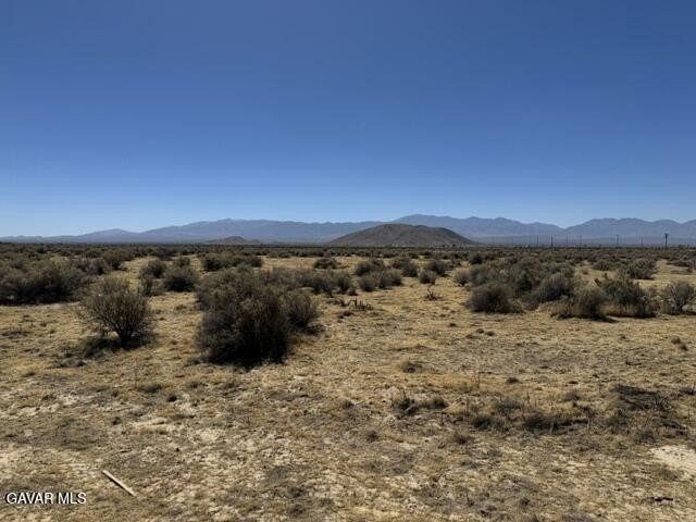 Picture 5