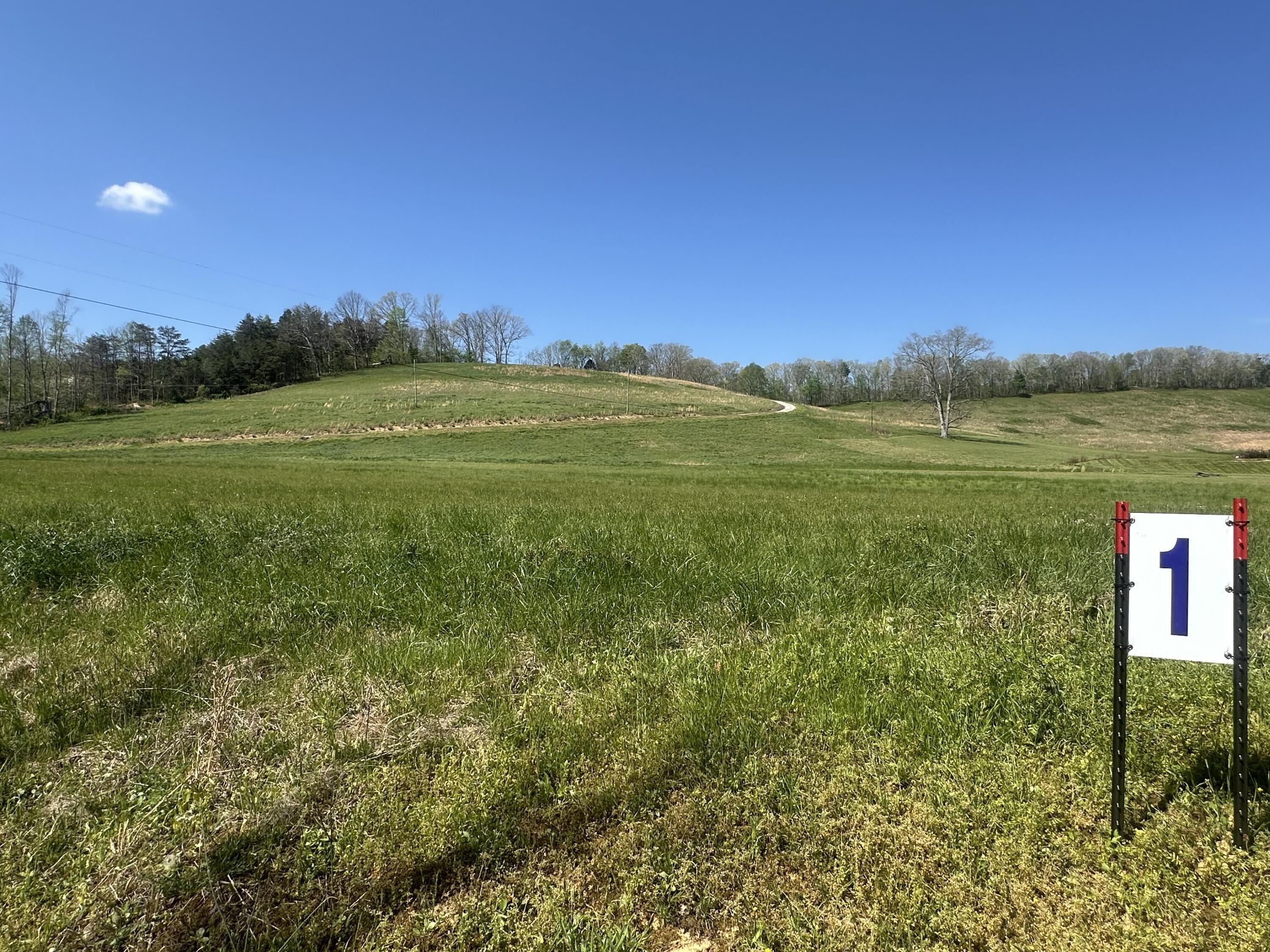 East Bernstadt Land with Views