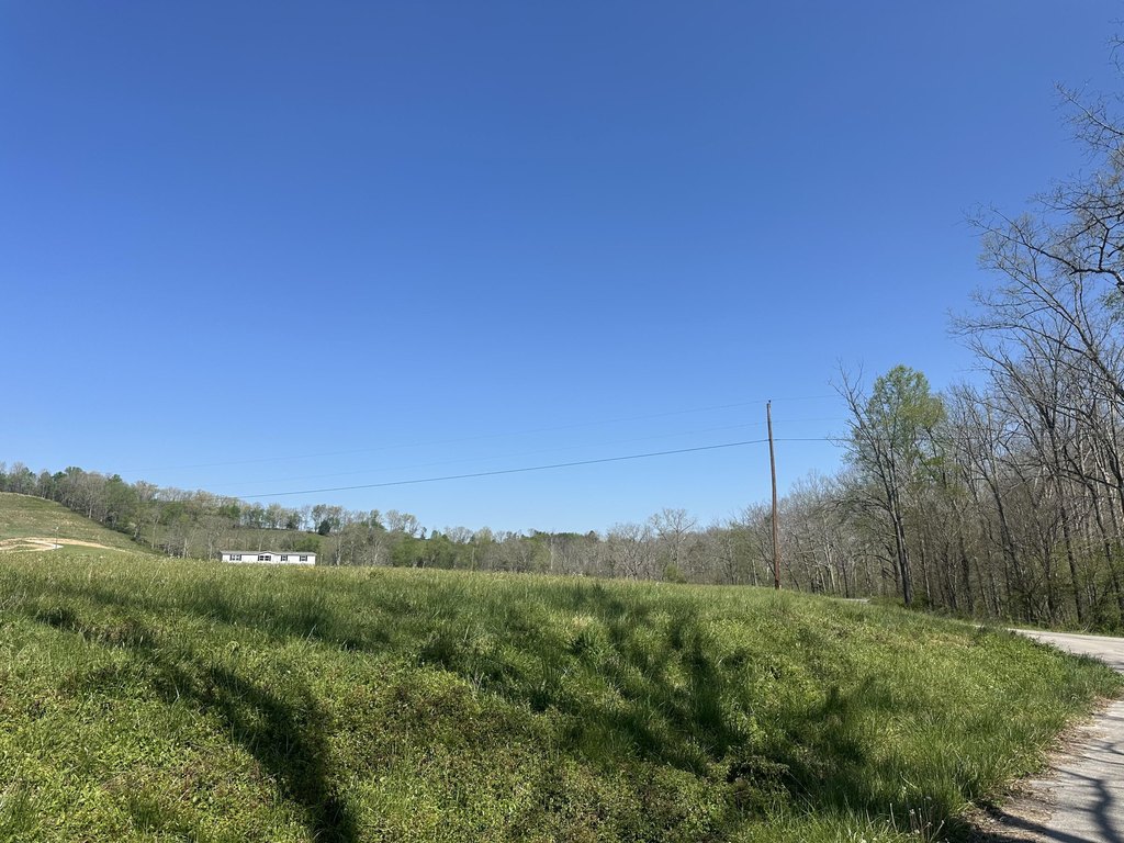 Picture 19