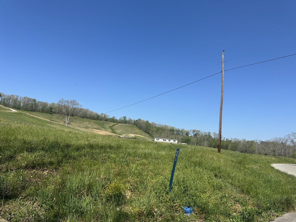 Picture 18
