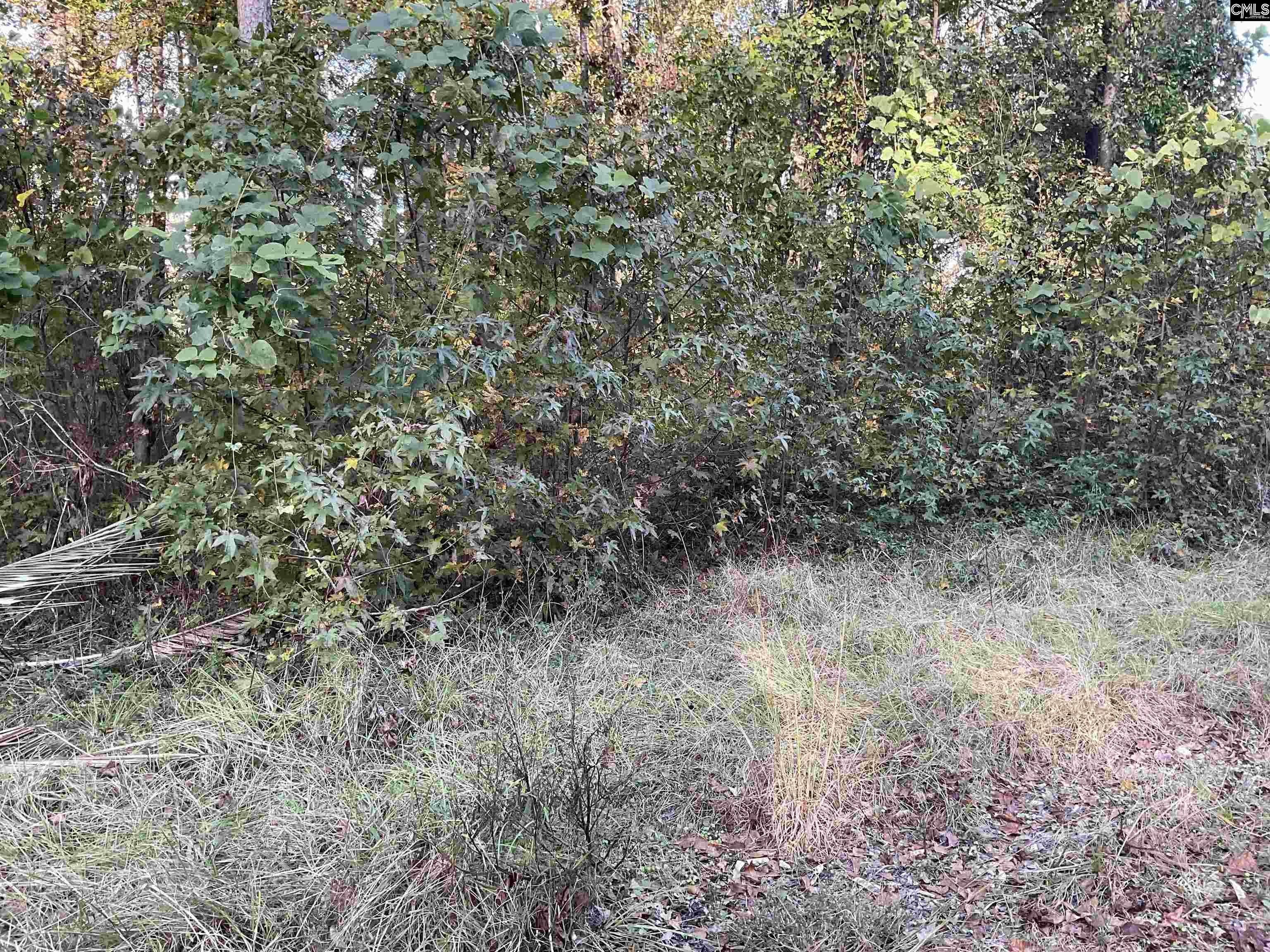 Barnwell Acreage with Highway Access