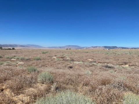 Land with Mountain Views