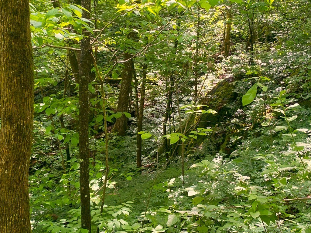 Picture 4