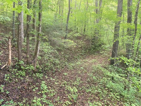 LAND - Franklin, NC