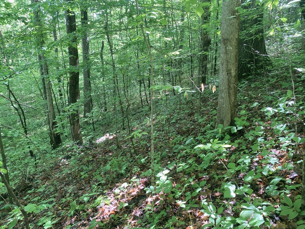 Picture 12