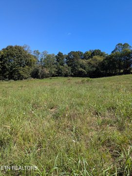 Lots & Acreage, Mascot, TN