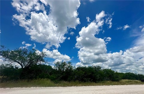 Residential Land in Orange Grove, TX