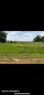 Abbeville Land For Sale