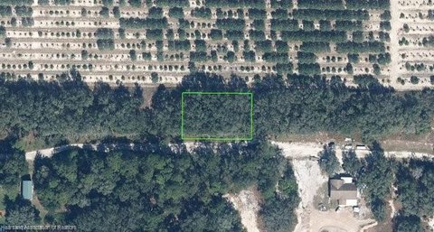 LAND - Avon Park, FL