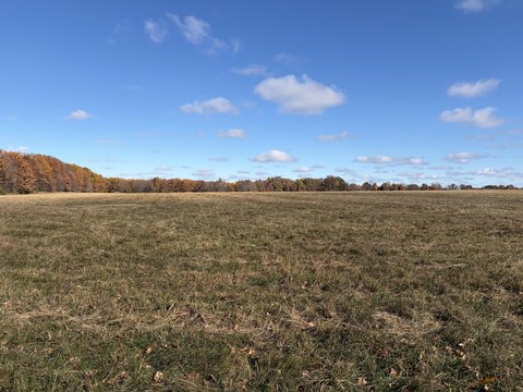 100 Acres Near Pomme De Terre
